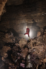 Thumbnail of photo from this article